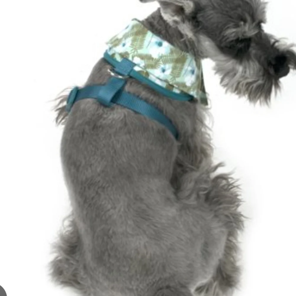 ❤️10/$40 New Vibrant life Hawaiian tropical pet harness